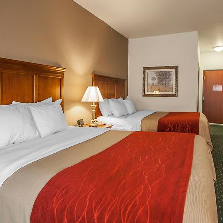 Comfort Inn & Suites Davenport - Quad Cities Eksteriør bilde